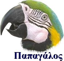 parrot2.jpg